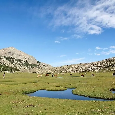 La Prairie Villa Porto-Vecchio (Corsica)